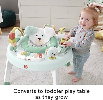 酷牌库|商品详情-Fisher-Price进口代理批发 Fisher-Price 婴幼儿玩具 3 合 1 SnugaPuppy 活动中心和游戏桌，带灯光、声音和发育活动