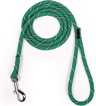 Atwood Rope进口代理批发 Atwood Rope MFG 编织狗牵引绳 3/8 英寸 5 英尺（绿色，带黄色和黑色示踪剂）