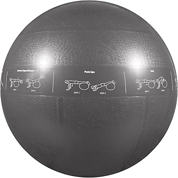 GoFit进口代理批发 GoFit ProBall 稳定球 印花健身球，适合瑜伽、锻炼、平衡 - 银色 75 厘米，GF-75PRO