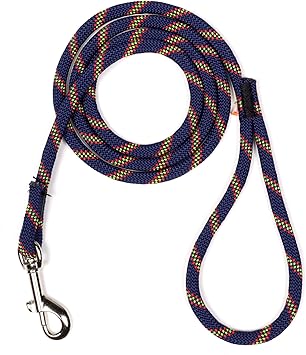 Atwood Rope进口代理批发 Atwood Rope MFG 编织狗牵引绳 3/8 英寸 5 英尺（海军蓝，带霓虹绿和红色示踪剂）