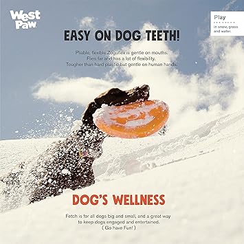 酷牌库|商品详情-WEST PAW进口代理批发 WEST PAW Zogoflex Zisc 狗飞盘，高空飞行气动飞盘，适用于小狗小狗，轻便，可浮动飞盘，用于抓取、拔河、接球、玩耍，可用作食物/水碗，小型，青史密斯