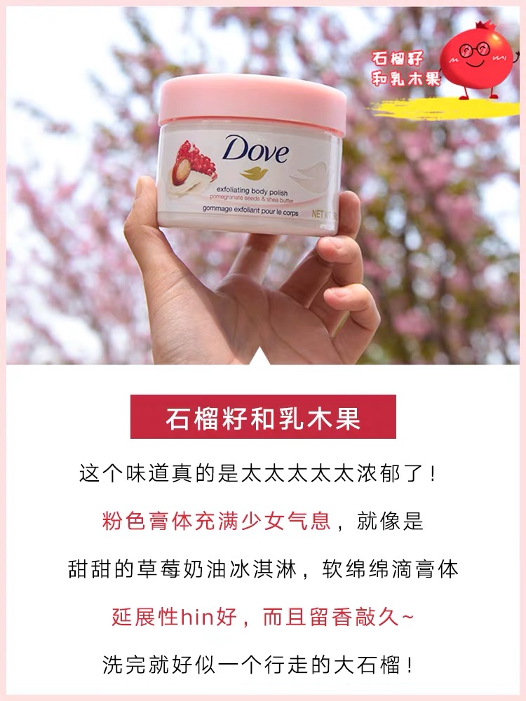 酷牌库|商品详情-进口代理批发298g Dove多芬石榴乳木果坚果冰淇淋身体磨砂膏去角质 香型备注哦