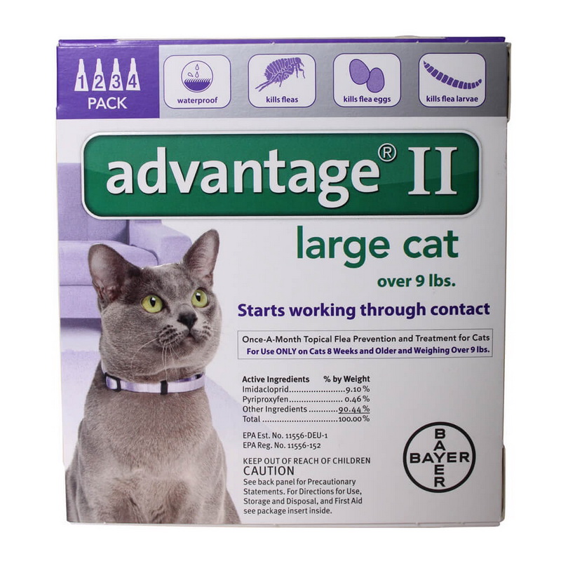 Bayer Animal Health进口代理批发 Advantage II 大猫 9 磅以上，4 只装紫色