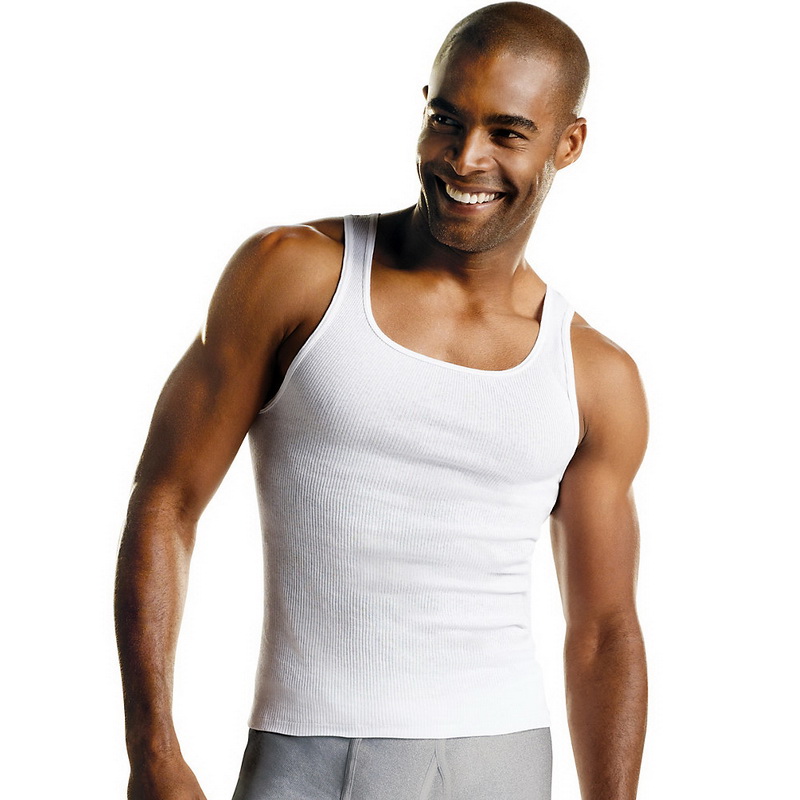 hanes premium shirts