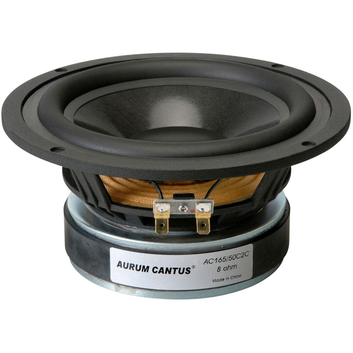Pair of Pyramid WX65X 6.5'' High Power White Injected P.P. Cone