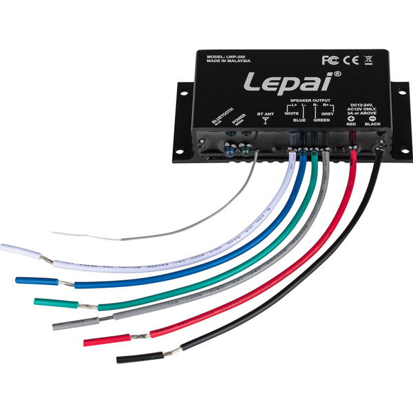 Lepai进口代理批发 Lepai LWP-250 2 x 50W 户外/船用蓝牙 5.0 迷你放大器，带安装法兰