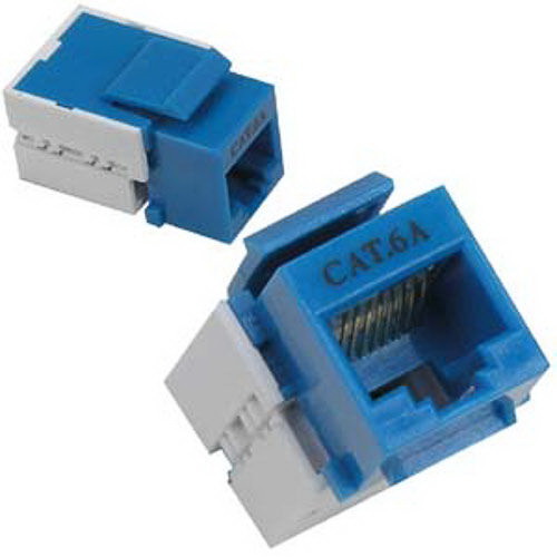 Dalco Electronics进口代理批发 Dalco Cat 6A Keystone 杰克 蓝色