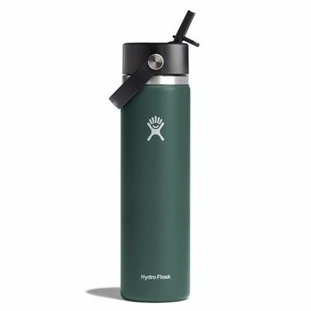 Hydroflask进口代理批发 HydroFlask 保温瓶 - 24 盎司 WM Flex 吸管冷杉