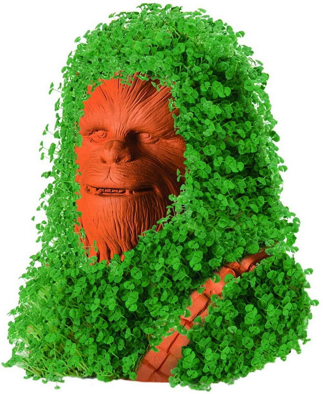 酷牌库|商品详情-Joseph Enterprises进口代理批发 Joseph Enterprises JEI-CP430-01-C 星球大战 Chewbacca Chia 宠物装饰花盆