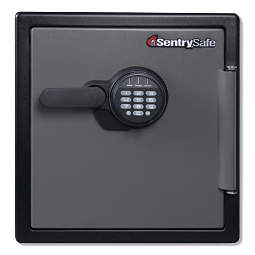 酷牌库|商品详情-SentrySafe进口代理批发 SentrySafe SENSFW123ES 防火型，带数字键盘访问，1.23 立方英尺，16.38wx 19.38dx 17.88h，青铜色