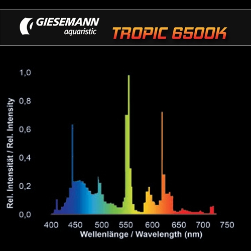 酷牌库|商品详情-Giesemann进口代理批发 Giesemann GS00565 Tropic 80W 60" T5 Ho 灯 (Gm-T5-Trpc)