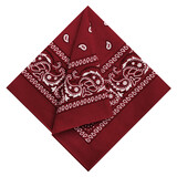 Muka Paisley Bandanas Necktie Headband Pocket Square Handkerchiefs Cowboy Scarf Costume, 21" x 21"
