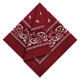 Muka 9 Pieces Paisley Bandanas Necktie Headband Pocket Square Handkerchiefs Cowboy Scarf Costume, 21" x 21"