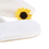 Opromo Terry Cotton Slippers Closed Toe Spa Hotel Unisex Slippers for Men&Women, Price/piece