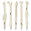 Custom Novelty Bone Desigh Ballpiont Pens, 6" L, Silk Screen, Price/Piece