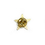 TOPTIE Gold Star Badge Lapel Pin, 25PCS/Pack, 3/4" x 1", Price/Pack