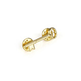Toptie Stock Skeleton Key Lapel Pin, Golden, 25pcs/pack, 1