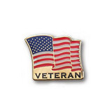 TOPTIE Waving American Flag Veteran Lapel Pin Veteran's Day Military US Army Enamel Lapel Pin, 25PCS/Pack, 1