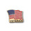 TOPTIE Waving American Flag Veteran Lapel Pin Veteran's Day Military US Army Enamel Lapel Pin, 25PCS/Pack, 1", Price/Pack