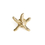 TOPTIE 3D Cast Golden Starfish Lapel Pin, 25PCS/Pack, 3/4" W x 1" L, Price/Pack
