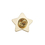 Toptie Vote Lapel Pin, Star Pins, 1", 25pcs/pack, Promotional Products - Gold, One Size