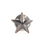 Stock 3D Metallic Finish Star Lapel Pin, 25PCS/Pack, 1/2"