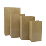 100 PCS Aspire Kraft Paper Grocery Bags