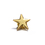 (Price/6PCS) ALICE Gold Star Lapel Pin, Size 3/4" W *1" L