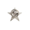 (Price/25 PCS)ALICE Silver Star Lapel Pin, 3/4" H*3/4"L