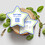 Muka Custom Printed Shape Business Cards Customize with Image Logo, Personalized Business Cards for Business