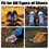 TOPTIE 100 Pairs Shoe Laces Bulk, Thin Flat Shoelaces Wholesale - Black 23 Inch