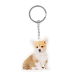 Aspire Custom Clear Acrylic Keychains DIY Crystal Acrylic Keychains Printed Any Photo Dog Cat Pet Keychains