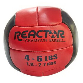Champion Barbell Champion Barbell Medicine Balls