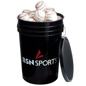 Bucket w/ Baseballs