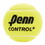 Penn 1451700 Penn Control Plus Tennis Ball-Dzn, Price/dozen