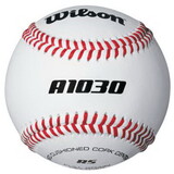 Wilson Wilson Hs Practice Baseball Dz