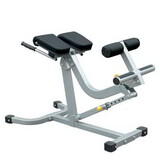 Champion Barbell Champion Barbell Back/Abdominal Exercise Bench