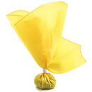 BSN Sports Official's Penalty Flag