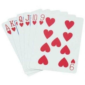 BSN Sports NAPC-1XX Poker Playing Cards