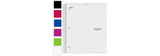 Five Star Customizable College Ruled Notebook - 3 Subject (08232)
