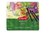 Derwent Academy Colored Pencils, 3.3Mm Core, Metal Tin, 24 Count, 2301938, Price/PH
