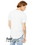 Bella+Canvas 3003 FWD Fashion Men's Curved Hem Short Sleeve T-Shirt