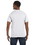 Hanes 5250T Men's 6 oz. Authentic-T T-Shirt