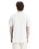 Hanes 5280T Men's Tall Essential-T T-Shirt