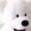 GOGO 48" Lovely White Bear Plush Toy, Big Plush, Gift Idea
