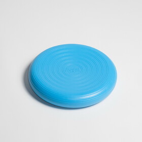 EcoWise Deluxe Balance Disc Cushion