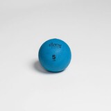 EcoWise 85104 Weight Ball, 5 lbs. - Blue Dahlia