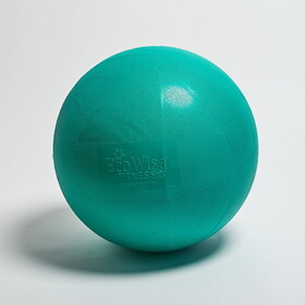EcoWise 85501 Fitness Ball - 55 cm - Green