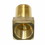 Interstate Pneumatics FST22EA Brass Street Pipe Elbow Fitting 1/8 Inch NPT - 45 Degree