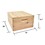 Good Land Bee Supply GL-1B-SPCR Beekeeping Beehive Brood Kit includes Frames, Foundations, Brood Box and Spacer. GLHDBOX